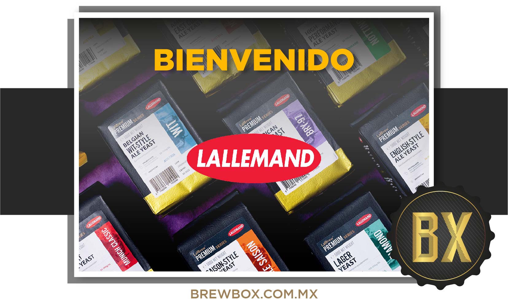¡Le damos la bienvenida a Lallemant Brewing a nuestra tienda!